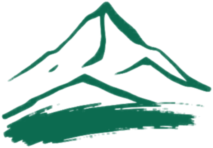LearnMizo logo
